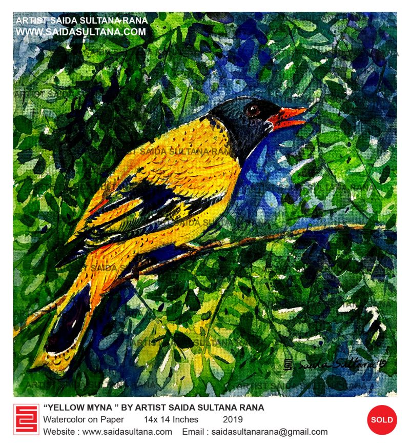 "yellow myna"  | 14 x 14 Inches | Watercolor on Paper